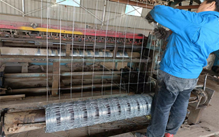 草原圍欄網(wǎng)