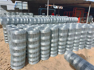 草原圍欄網(wǎng)